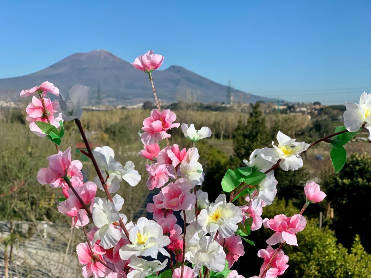 Villa Valentino Pompeji Dış mekan fotoğraf